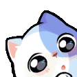 TM_peek