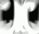 Chen