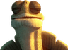 inner_peace_oogway