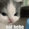 nothehe