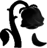 1_blackrose