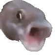 pog_fish