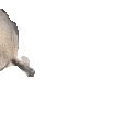 sealcome
