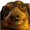 DogTeefSmile