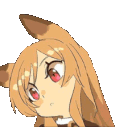 AMfoxCurious