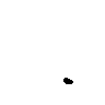 937838881938739230