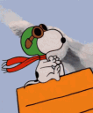 TM_happy_flying