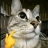 emoji_364