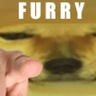 FURRY