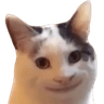 2978_HappyCat