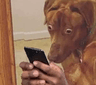 me