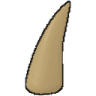 megalodontooh