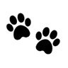 black_paw_prints