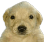 1033794419968712834
