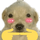 944991696582746112