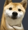 dogo_wtf