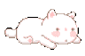 cat_yawn