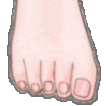 wiggly_toes