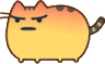 cat_angery