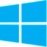 platform_windows