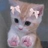 emoji_240