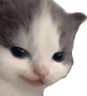 1132674129657606254