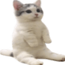 emoji_95