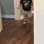 1148runbaby