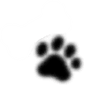 000