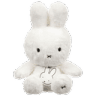 v0_bunny