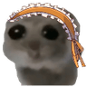 sadhamtermatchi