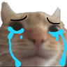 SA_catCrying