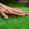 touchgrass