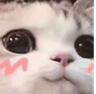 uwucat