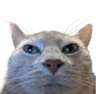 xLcat