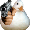 DD_duck_gun