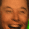 DD_elon_happy