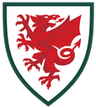 Wales_national_football_team_log
