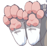 paw