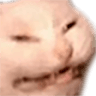 kekcat