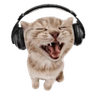 silly_music_cat