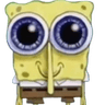 happysponge