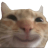 happy_cat