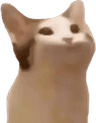 cat_3