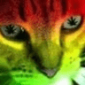 gatomakonha