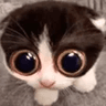 MONKA