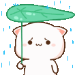 nya_rain