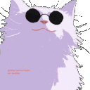 cat_glasses_cool