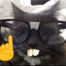 nerdcat