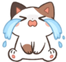 cry